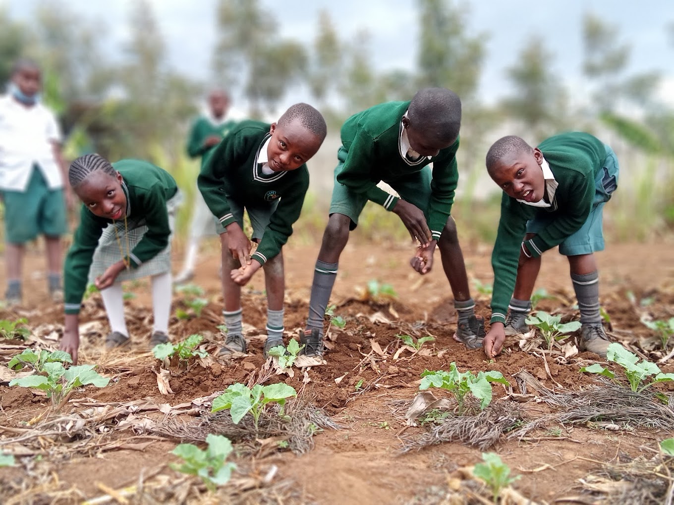 Science lab experiments